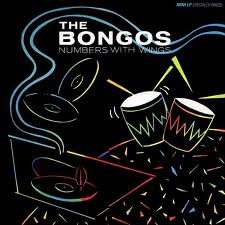 bongos.jpg